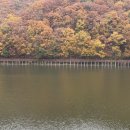 오남도서관 지상2층 | [카페/남양주] 오남저수지 대형카페 후탄 경기도 단풍구경 명소 추천 메뉴,주차