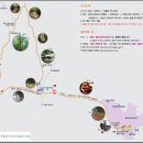 서부1동행정복지센터 Daum카페