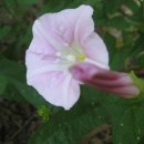 자전거도로 옆 이미지