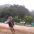 솔마