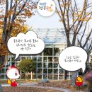 투어몽 이미지