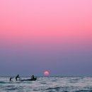 참치나라 이미지