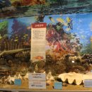 제주 공룡랜드 전시관 이미지