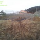 신도리-5 이미지