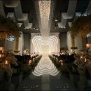 주식회사티웨딩 이미지