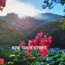 명옥헌민박 이미지