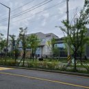 덴탈플렌 | 남양주스마트 83차 모임후기 및 84차 모임공지