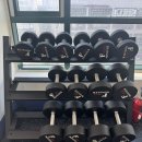 연복싱체육관 이미지