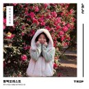 11545-11-38-23 | 제주 동백포레스트 1월 23일 후기｜동백 개화 상태·사람 많음 솔직 리뷰