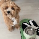 림피드 주식회사 이미지