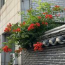 행운카센타 - 성동구 뚝섬로 427-1 | 6월 일상