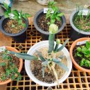 수창한의원 이미지