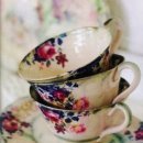 Tea Cup 네이버블로그