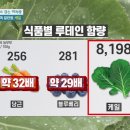 케일 이미지