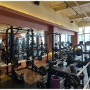 브로피트니스 복대점 이미지