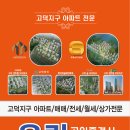 고덕캐슬부동산공인중개사사무소 이미지