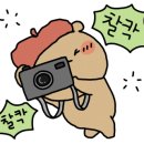 D00095 네이버블로그