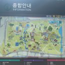 시민공원 북3문 앞 횡단보도 이미지