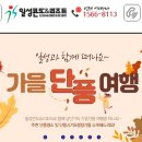 일성레저산업주 네이버블로그
