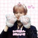 미니스타365 Daum카페