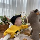 200일 촬영(못난이 인형 콘셉트) / 가족사진 찍고 왔어요 가성비 좋은 옵튼스튜디오/ 아기 촬영 팁 준비물