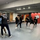 마스터황의택견