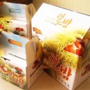 늘밤농원 이미지