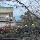 공공연 | 제주 독채숙소 제주도 서쪽 감성숙소 공공연 자쿠지 이용 솔직후기 / 내돈내산