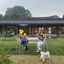 우양상회