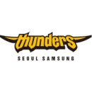 경우체육관 | 잠실실내체육관 안양 정관장 vs 서울 삼성 R2 구역 패배의 농구 직관 후기