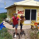 돌고래민박 이미지