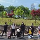 부윤초등학교 대전일보