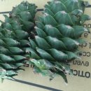 (주)한스투어 이미지