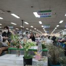 대가야꽃집 이미지