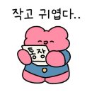 [대구] 파스타·피자 맛있는 &#34;오레가노&#34; 동성로점 솔직 후기🍝 내돈내먹!