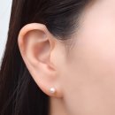골드모아나