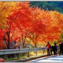 소답동141 이미지