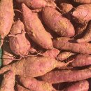 꿀밤농장 이미지