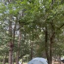 메디텐 | 속리산 계곡근처 사내리캠핑장 재방문 여름휴가 라디트텐트 텐캉스 시원하게~