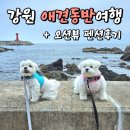 합수모래관광펜션 | 강원도 애견 동반 여행 [속초관광수산시장, 양양바다빛무지개펜션, 양양광진해변]