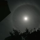 햇무리(22도후광,Sun Halo 2026.08.10) 이미지