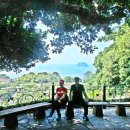 외도보타니아 이미지