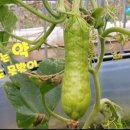 광양친환경농자재