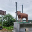 산외우체국 이미지