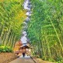 덕천푸른의원 이미지