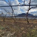 금강의하루민박 이미지