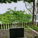 김유정 행장비 이미지