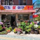 상계동꽃집 강동꽃화원 가격 위치 영업시간