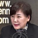 한동대학교 국제법률대학원 | 김미영 VON뉴스 대표 프로필 나이 학력 경력 부정선거 주장과 끝장토론 논란 정리