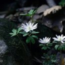 서귀더부티크 이미지